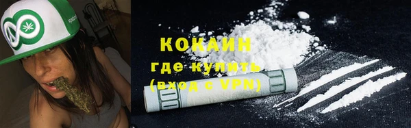 спайс Бородино