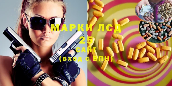 спайс Бородино