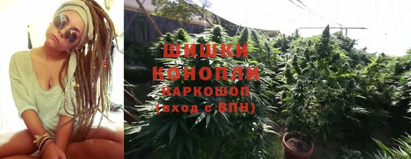 спайс Бородино