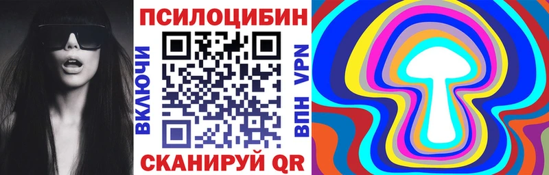 Псилоцибиновые грибы Cubensis  Фёдоровский 